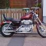 2002-sportster-xl883c-1.jpg