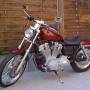 2002-sportster-xl883c.jpg